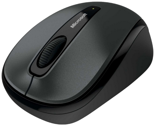 Mouse
